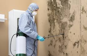 Best Real Estate Mold Inspection  in Gap, PA